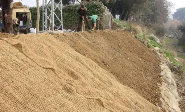 Malla de coco estándar Rollo 2x50m - Imagen 7